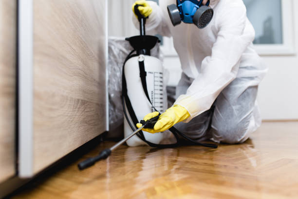 Best Best Pest Control Companies  in Rising Sun, MD