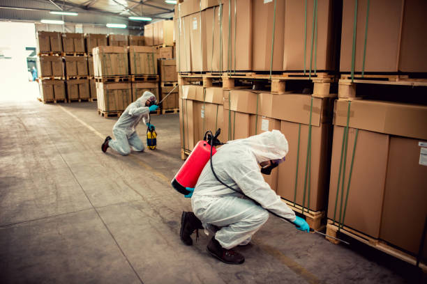 Best Rat Extermination Near Me  in Rising Sun, MD