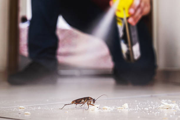 Trusted Rising Sun, MD Pest Control Experts