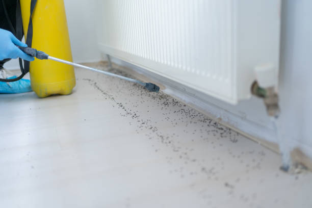 Best Pest Removal Services  in Rising Sun, MD