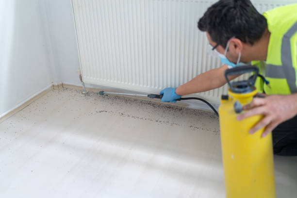 Best Termite Control Services  in Rising Sun, MD